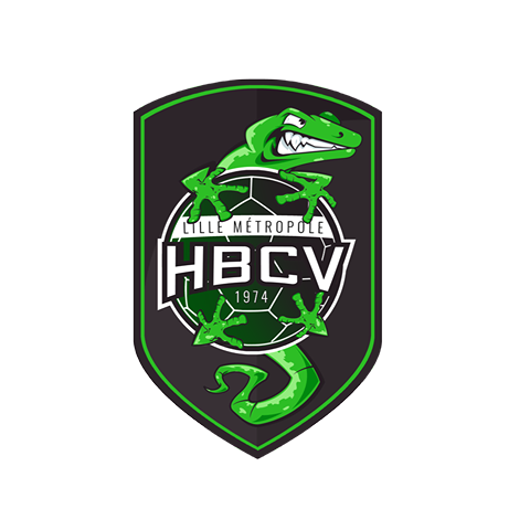 Logo Lille Métropole Handball Club de Villeneuve d'Ascq